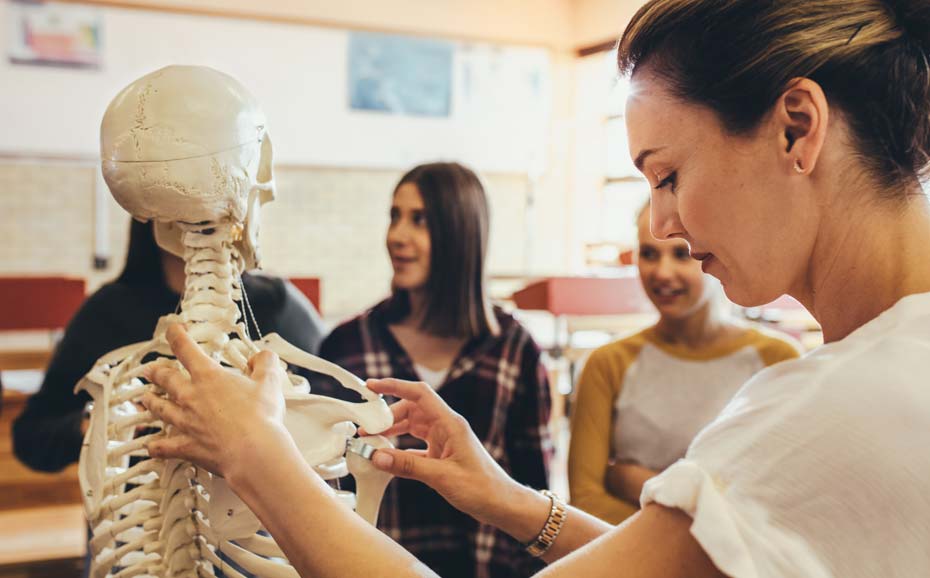 Osteopathy lecture with model skeleton