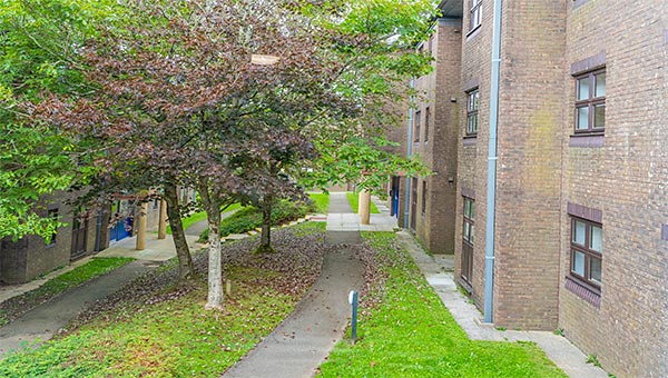 A view from Dix Hall
